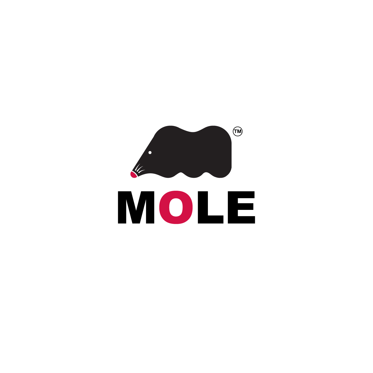 Logo Design by anshuman1995 for this project | Design #10397707