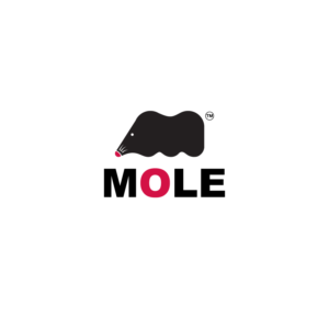 Logo Design by anshuman1995 for this project | Design: #10397707