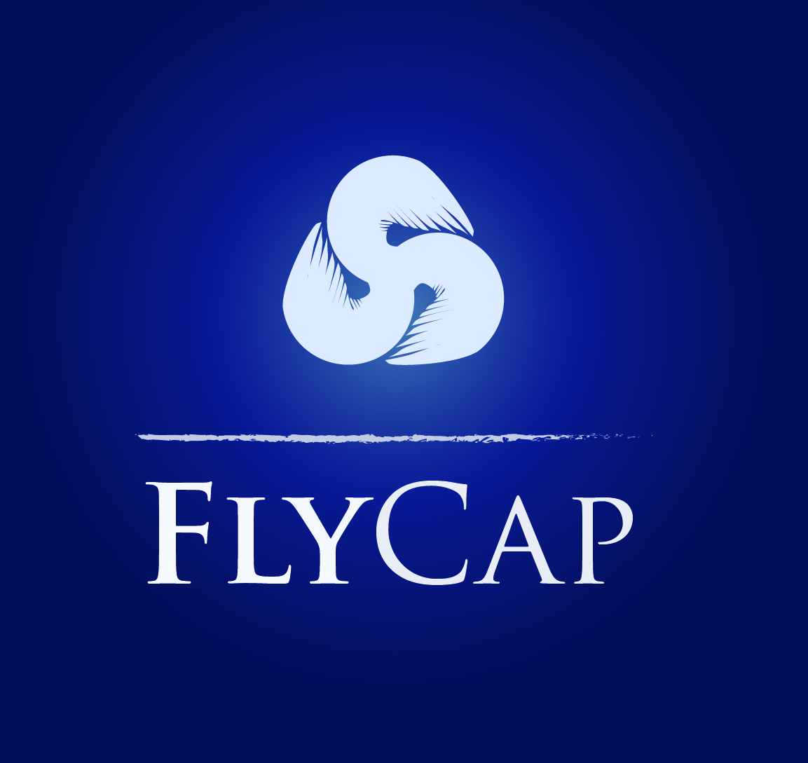 Logo Design by Natan for this project | Design #2205981