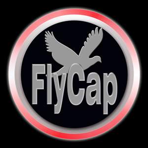 Diseño de Logo por imcarms para este proyecto | Diseño: #2190999