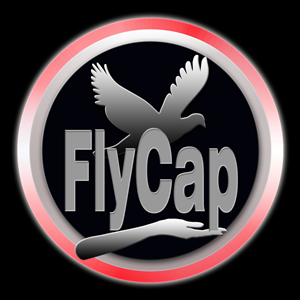 Diseño de Logo por imcarms para este proyecto | Diseño: #2191043