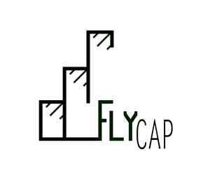 Logo Design by Manuel Reis