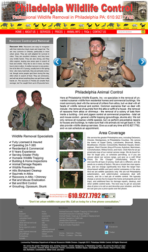 Web Design by noelopan1955