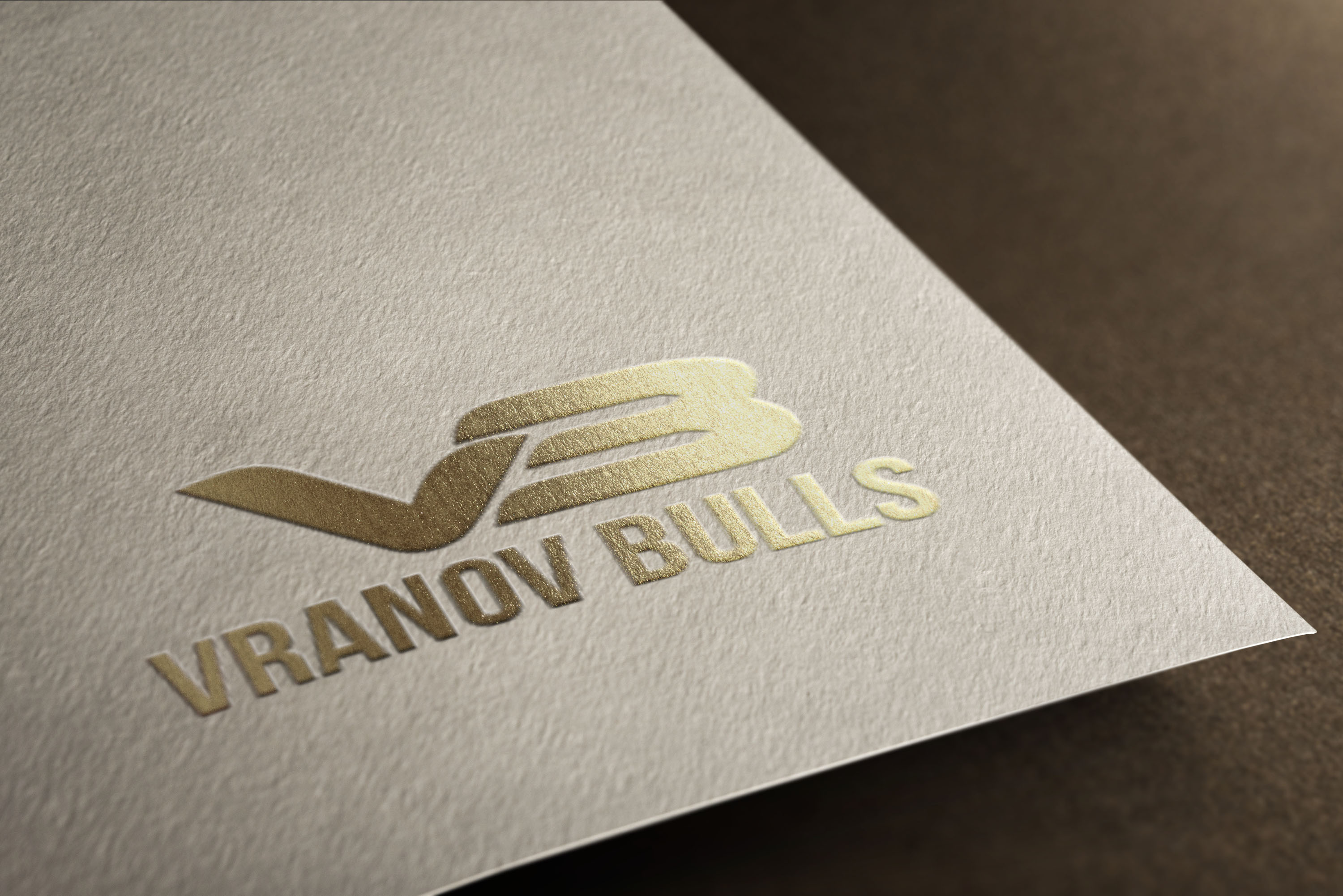 Logo Design by creativedesigner for this project | Design #10511752