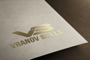 Logo Design by creativedesigner for this project | Design: #10511752