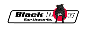 Logo Design by Rajeesh