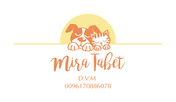 Diseño de Tarjeta de Presentación por Irina Makedonska para este proyecto | Diseño #10423074