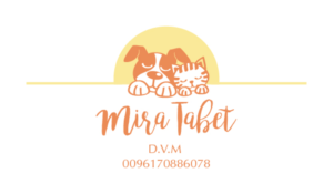 Diseño de Tarjeta de Presentación por Irina Makedonska para este proyecto | Diseño: #10423074