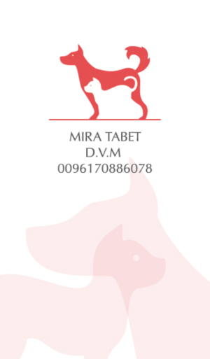 Diseño de Tarjeta de Presentación por Irina Makedonska para este proyecto | Diseño: #10434258