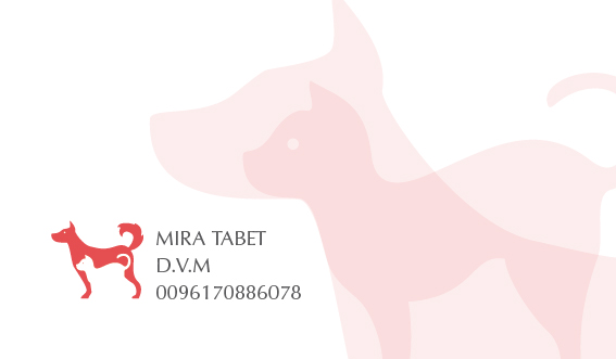 Diseño de Tarjeta de Presentación por Irina Makedonska para este proyecto | Diseño #10434259