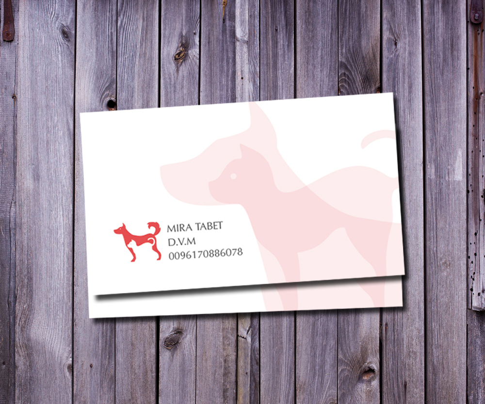 Diseño de Tarjeta de Presentación por Irina Makedonska para este proyecto | Diseño #10434261