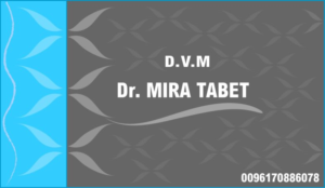 Design de Carte de Visite par Star Designer pour ce projet | Design : #10442188