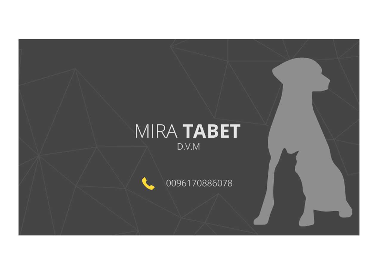 Business Card Design by Graphicient for this project | Design #10483752