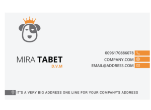 Design de Carte de Visite par Graphicient pour ce projet | Design : #10483753