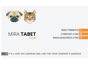 Business Card Design by Graphicient for this project | Design #10483754