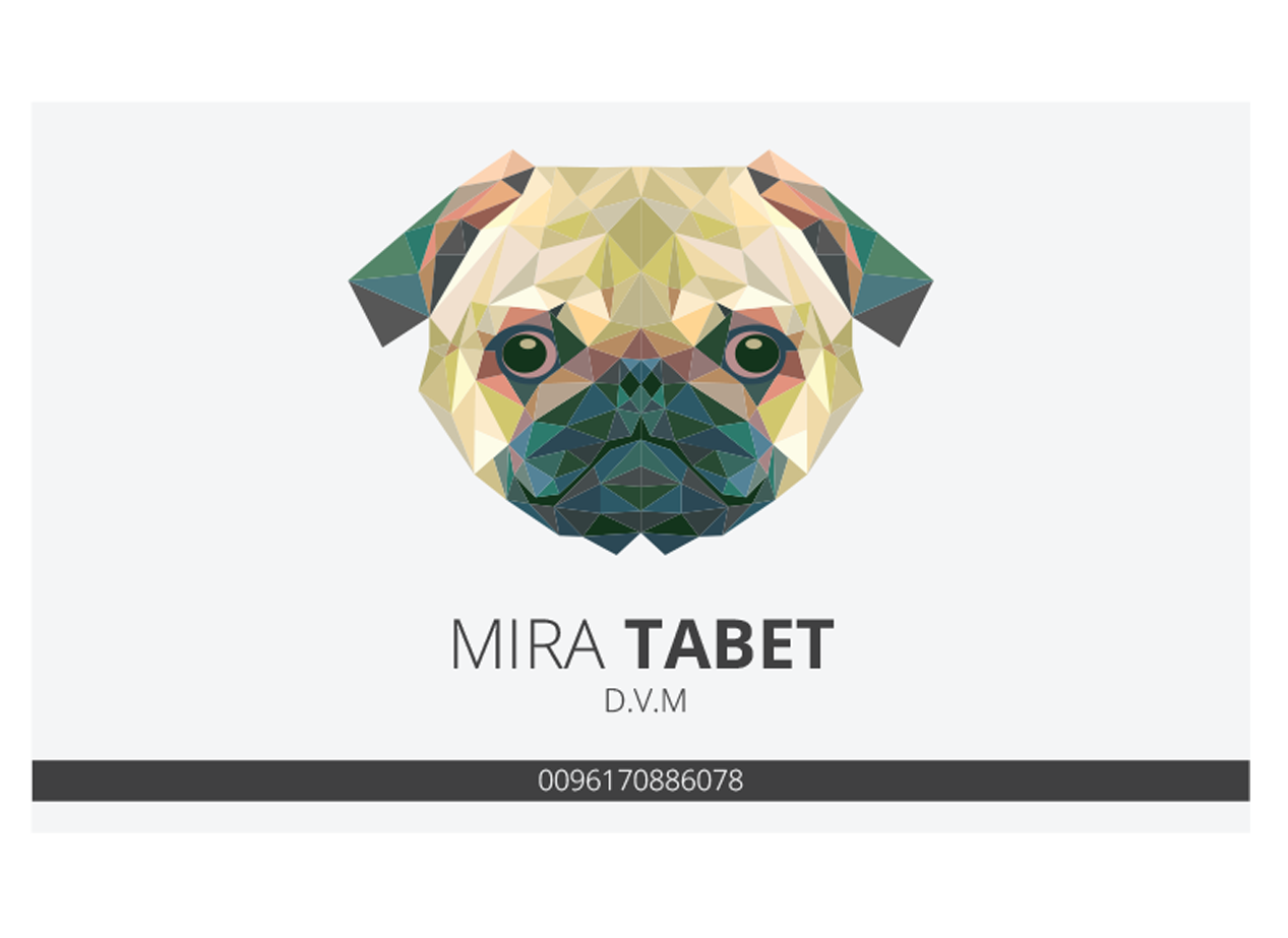 Design de Carte de Visite par Graphicient pour ce projet | Design #10483755