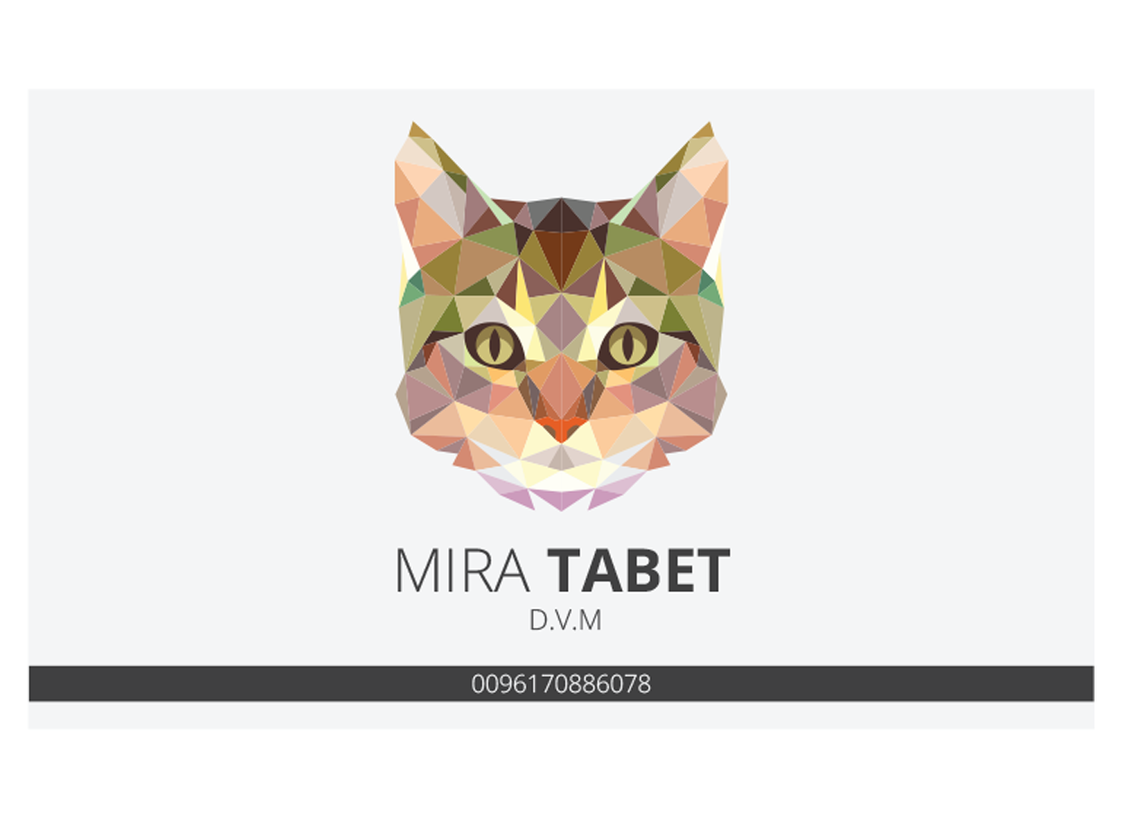 Design de Carte de Visite par Graphicient pour ce projet | Design #10483756