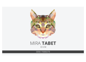 Business Card Design by Graphicient for this project | Design: #10483756