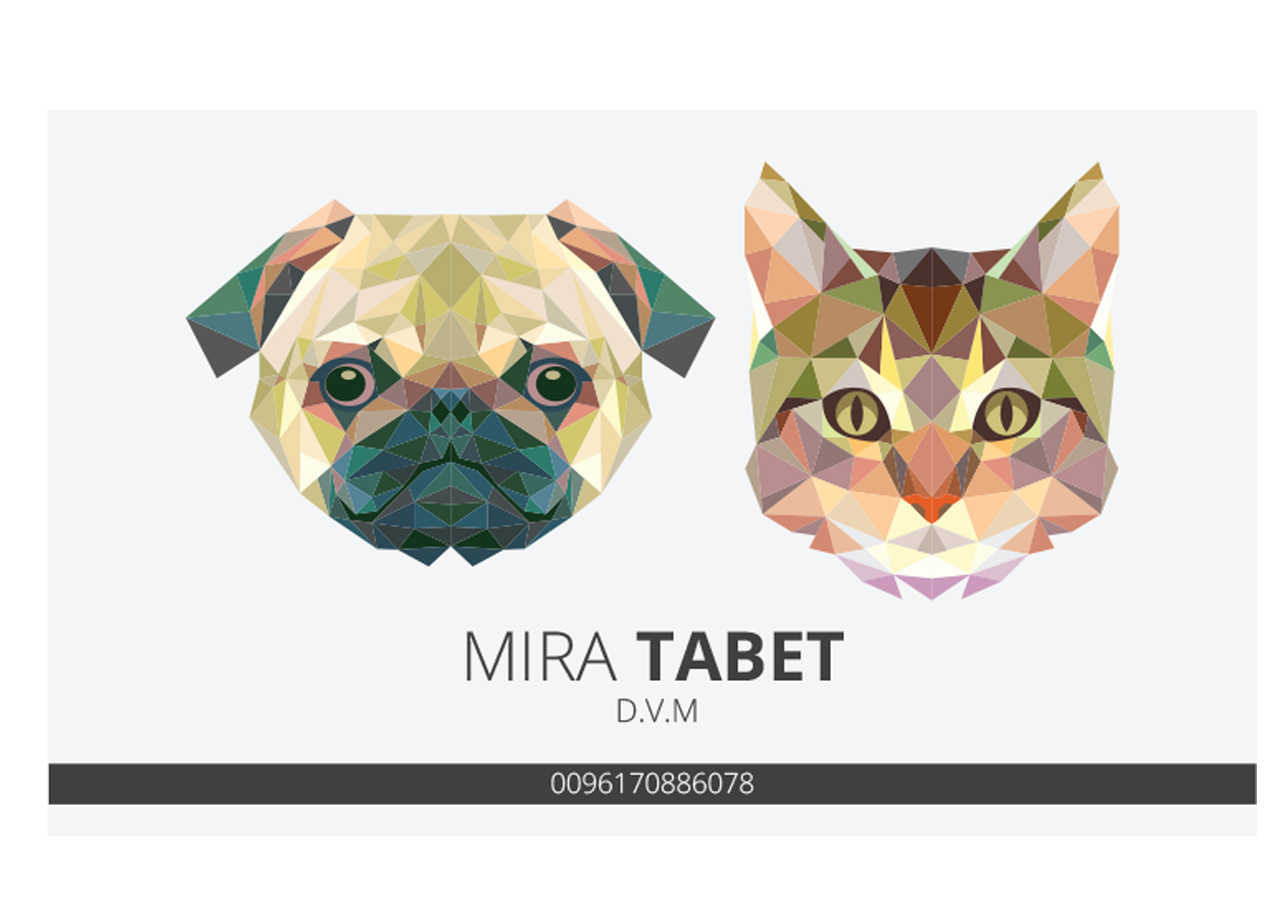 Design de Carte de Visite par Graphicient pour ce projet | Design #10483766