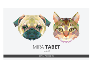 Business Card Design by Graphicient for this project | Design: #10483766