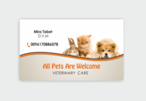 Design de Carte de Visite par IneseRo pour ce projet | Design : #10407355