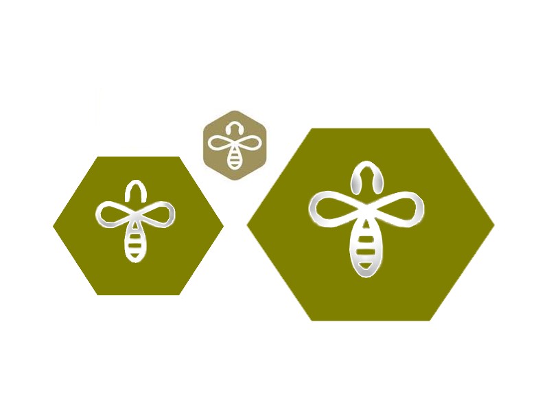 Logo Design by designerone for this project | Design #10489706