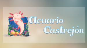 Acuario Castrejón | Logo Design by MT