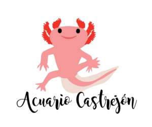 Logo Design by Kristine for La cocina de David | Design #10409953