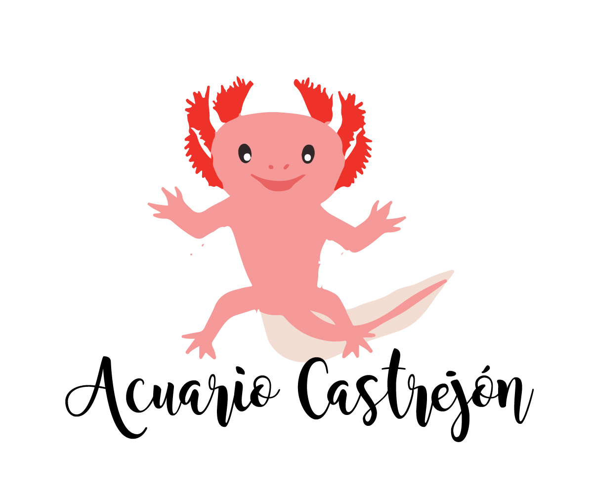 Logo Design by Kristine for La cocina de David | Design #10412142