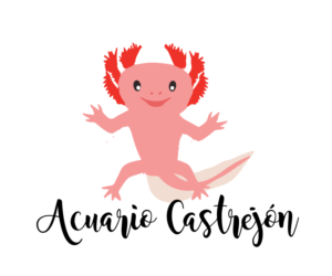 Logo Design by Kristine for La cocina de David | Design: #10412142
