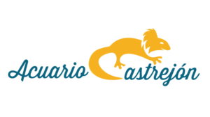Logo Design by Alexandre Santos