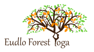 Eudlo Forest Yoga | Logo Design by TSEdesign