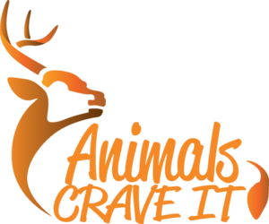 Logo Design by Mardri