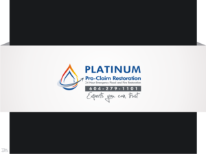 Graphic Design by Blueberry for Platinum Professional Claim Services | Design #10528979