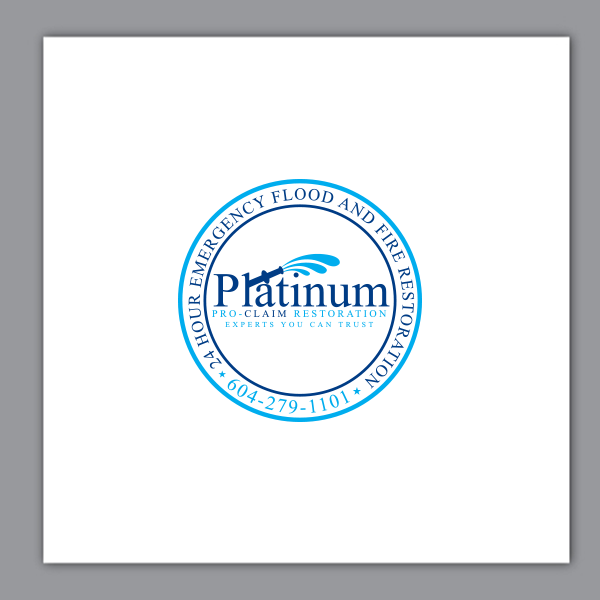 Diseño Gráfico por ApurbaMan para Platinum Professional Claim Services | Diseño #10530742