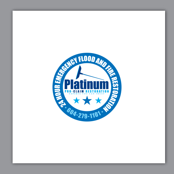 Diseño Gráfico por ApurbaMan para Platinum Professional Claim Services | Diseño #10530747