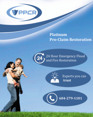 Graphic Design by AymanePro ™ for Platinum Professional Claim Services | Design: #10513938