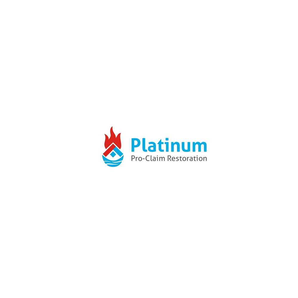 Diseño Gráfico por MJ art para Platinum Professional Claim Services | Diseño #10530188