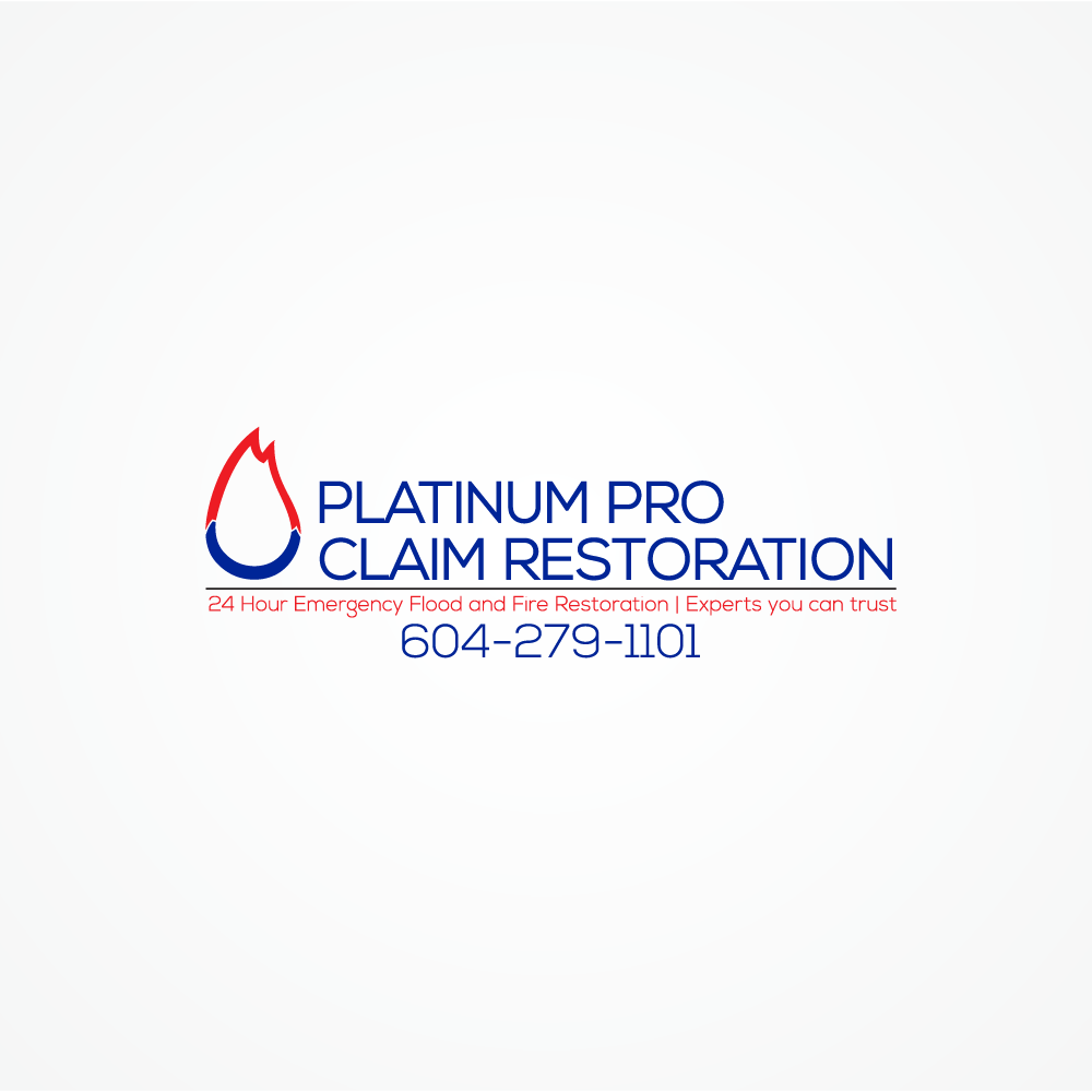 Grafik-Design von mDesign für Platinum Professional Claim Services | Design #10500675