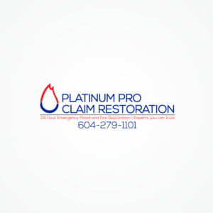 Graphic Design by mDesign for Platinum Professional Claim Services | Design: #10500675