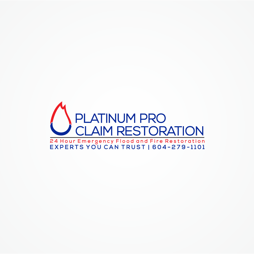 Diseño Gráfico por mDesign para Platinum Professional Claim Services | Diseño #10500676