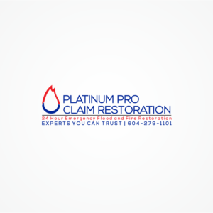 Graphic Design by mDesign for Platinum Professional Claim Services | Design: #10500676