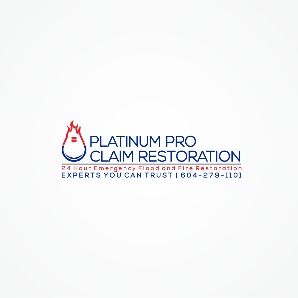 Graphic Design by mDesign for Platinum Professional Claim Services | Design #10500679