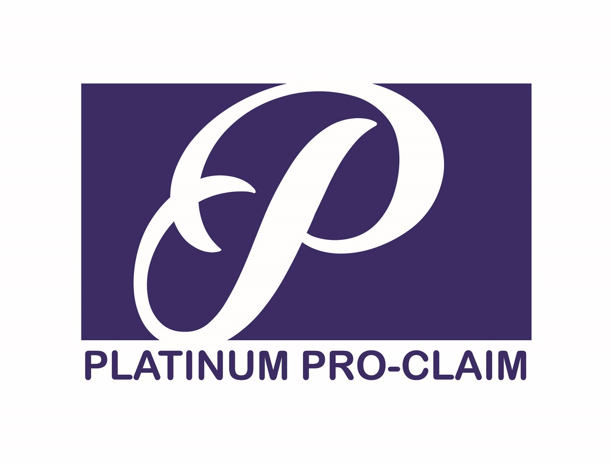 Diseño Gráfico por retha para Platinum Professional Claim Services | Diseño #10481296