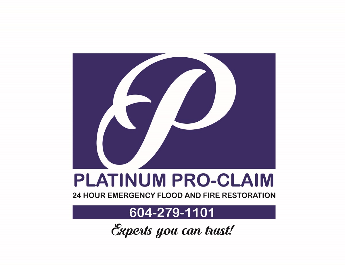 Diseño Gráfico por retha para Platinum Professional Claim Services | Diseño #10481298