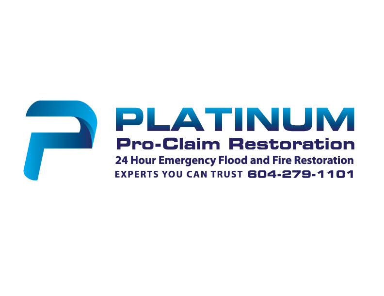 Diseño Gráfico por bc21 para Platinum Professional Claim Services | Diseño #10455491