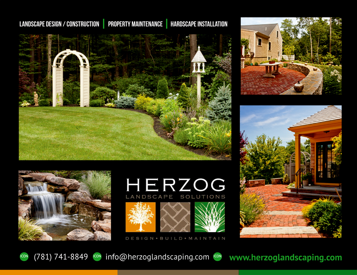 Postcard Design by rkailas for this project | Design #10528271