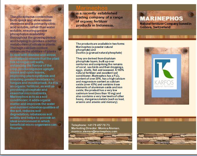 Brochure Design by designer for this project | Design #20480