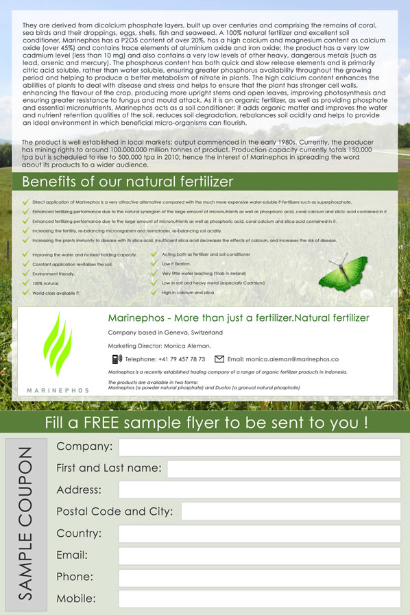 Flyer Design by Stephen Chong for this project | Design #87029