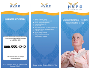 Brochure Design by roopaljain for this project | Design: #2257097